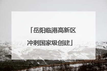 岳阳临港高新区冲刺国家级创建