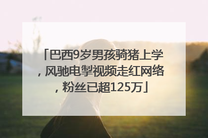 巴西9岁男孩骑猪上学，风驰电掣视频走红网络，粉丝已超125万