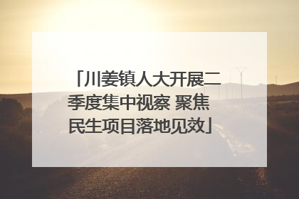 川姜镇人大开展二季度集中视察 聚焦民生项目落地见效
