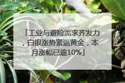 工业与避险需求齐发力，白银涨势紧逼黄金，本月涨幅已逾10%