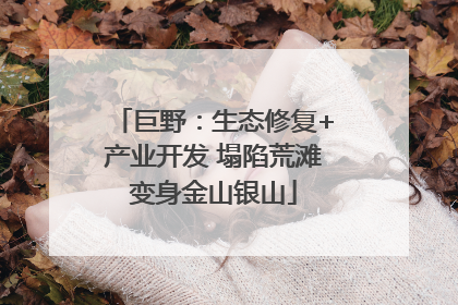 巨野：生态修复+产业开发 塌陷荒滩变身金山银山