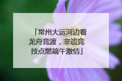 常州大运河边看龙舟竞渡，非遗竞技点燃端午激情