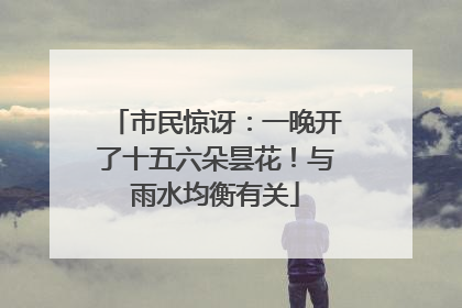 市民惊讶：一晚开了十五六朵昙花！与雨水均衡有关