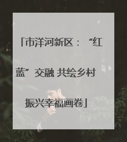 市洋河新区：“红蓝”交融 共绘乡村振兴幸福画卷