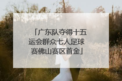 广东队夺得十五运会群众七人足球赛佛山赛区首金