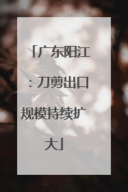 广东阳江：刀剪出口规模持续扩大