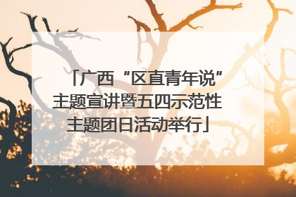 广西“区直青年说”主题宣讲暨五四示范性主题团日活动举行