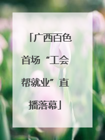 广西百色首场“工会帮就业”直播落幕