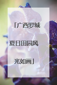 广西罗城夏日田园风光如画