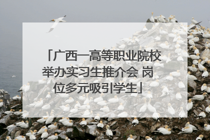 广西一高等职业院校举办实习生推介会 岗位多元吸引学生