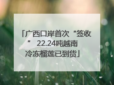 广西口岸首次“签收” 22.24吨越南冷冻榴莲已到货