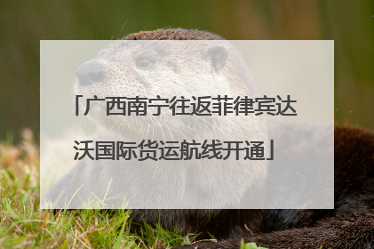 广西南宁往返菲律宾达沃国际货运航线开通