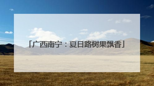 广西南宁：夏日路树果飘香