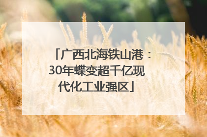 广西北海铁山港：30年蝶变超千亿现代化工业强区