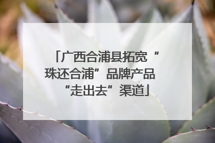 广西合浦县拓宽“珠还合浦”品牌产品“走出去”渠道