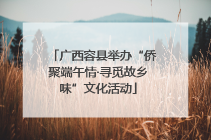 广西容县举办“侨聚端午情·寻觅故乡味”文化活动