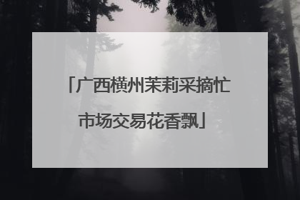 广西横州茉莉采摘忙 市场交易花香飘