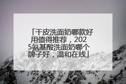 干皮洗面奶哪款好用值得推荐，2025氨基酸洗面奶哪个牌子好，温和在线
