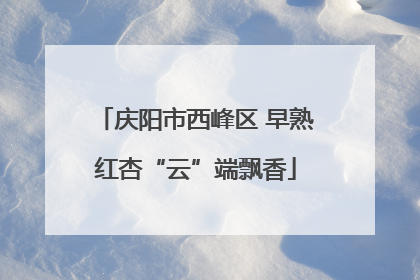 庆阳市西峰区 早熟红杏“云”端飘香