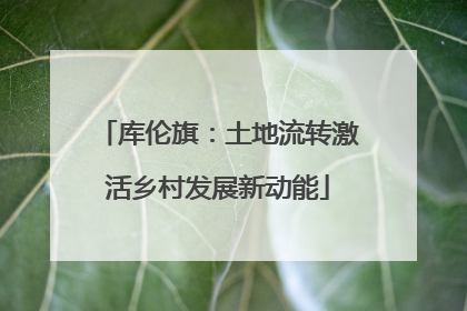 库伦旗：土地流转激活乡村发展新动能