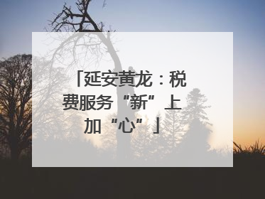 延安黄龙：税费服务“新”上加“心”