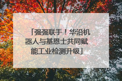 强强联手！华沿机器人与基恩士共同赋能工业检测升级