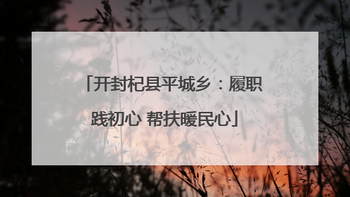 开封杞县平城乡：履职践初心 帮扶暖民心