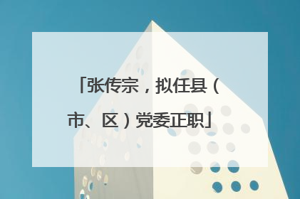 张传宗，拟任县（市、区）党委正职