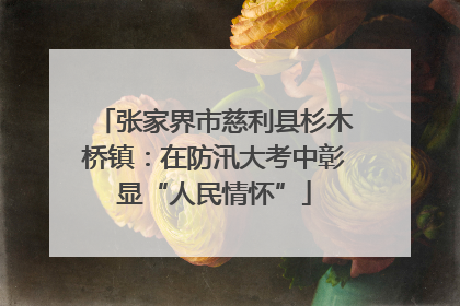 张家界市慈利县杉木桥镇：在防汛大考中彰显“人民情怀”