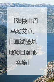 张掖山丹马场艾草、甘草试验基地项目落地实施