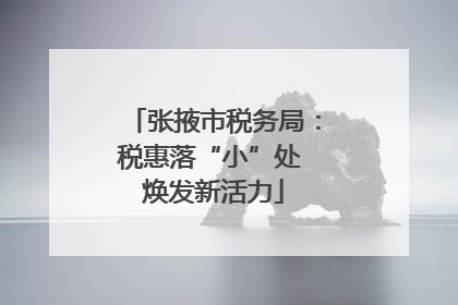 张掖市税务局：税惠落“小”处 焕发新活力