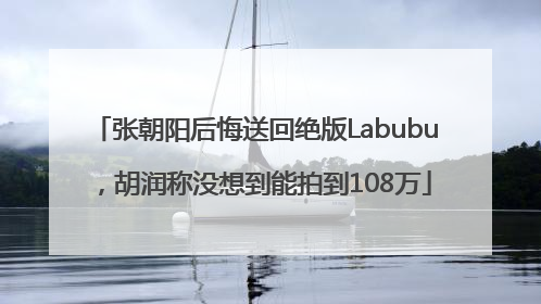 张朝阳后悔送回绝版Labubu，胡润称没想到能拍到108万