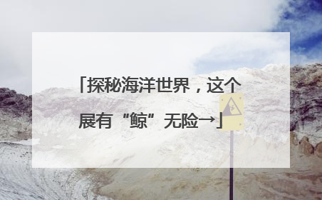 探秘海洋世界，这个展有“鲸”无险→