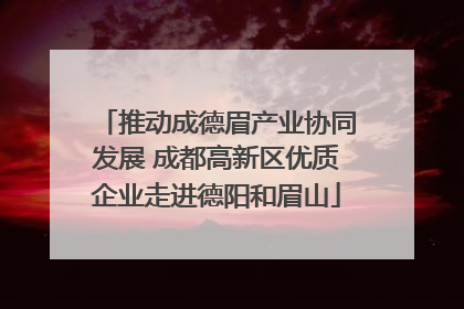 推动成德眉产业协同发展 成都高新区优质企业走进德阳和眉山