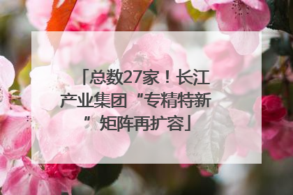 总数27家！长江产业集团“专精特新”矩阵再扩容