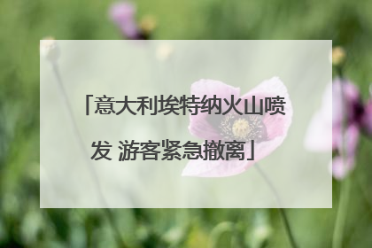 意大利埃特纳火山喷发 游客紧急撤离
