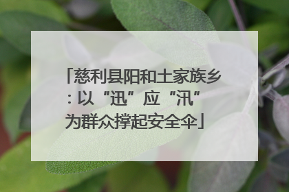 慈利县阳和土家族乡：以“迅”应“汛” 为群众撑起安全伞