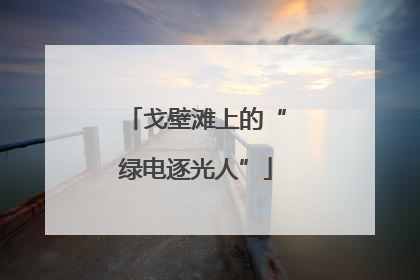 戈壁滩上的“绿电逐光人”