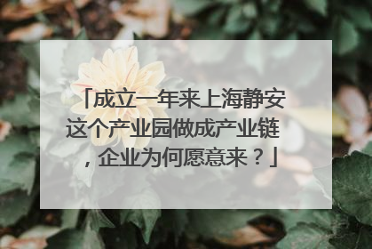 成立一年来上海静安这个产业园做成产业链，企业为何愿意来？