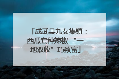 成武县九女集镇：西瓜套种辣椒 “一地双收”巧致富