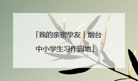 我的亲密挚友｜烟台中小学生习作园地