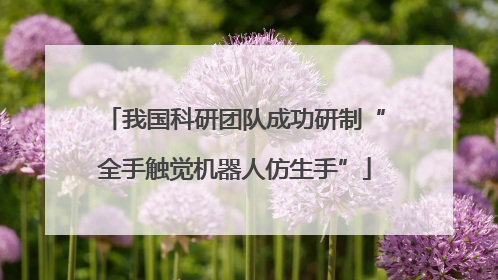我国科研团队成功研制“全手触觉机器人仿生手”