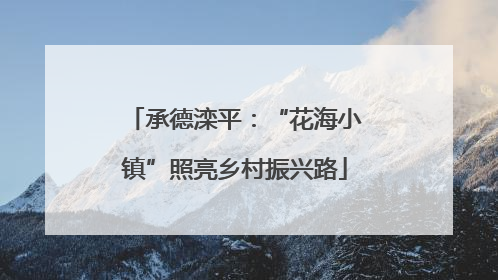 承德滦平：“花海小镇”照亮乡村振兴路