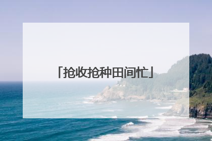 抢收抢种田间忙
