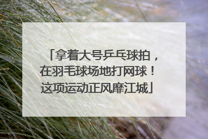 拿着大号乒乓球拍，在羽毛球场地打网球！这项运动正风靡江城