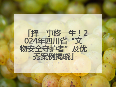 择一事终一生！2024年四川省“文物安全守护者”及优秀案例揭晓