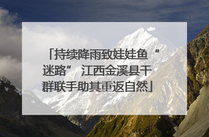 持续降雨致娃娃鱼“迷路” 江西金溪县干群联手助其重返自然