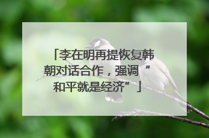 李在明再提恢复韩朝对话合作，强调“和平就是经济”