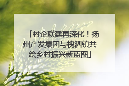 村企联建再深化！扬州产发集团与槐泗镇共绘乡村振兴新蓝图