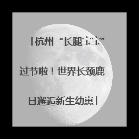 杭州“长腿宝宝”过节啦！世界长颈鹿日邂逅新生幼崽